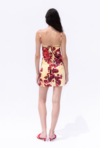PETRA DRESS